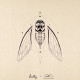 Insecte n°3 by Laully